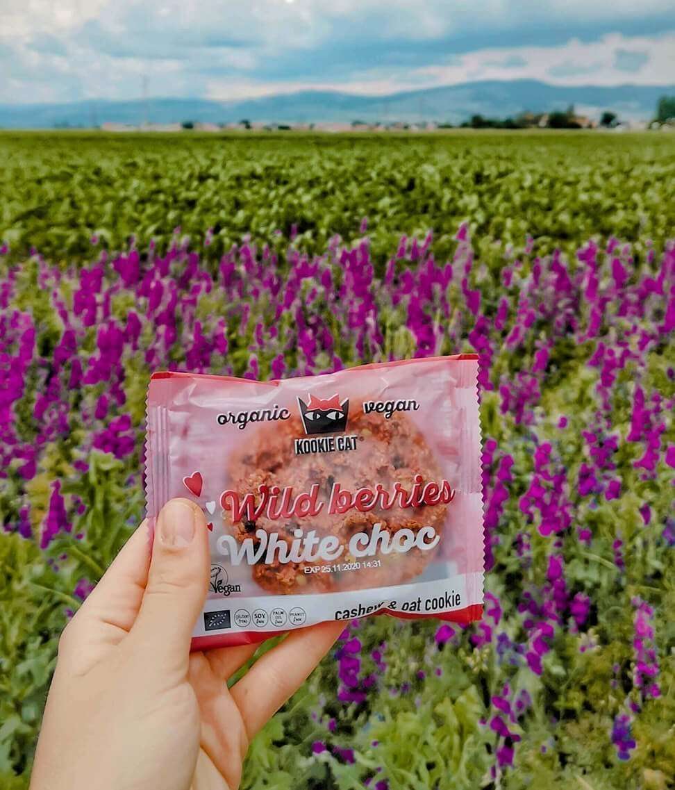 Smart Organic - Wholesale Cookie - Wild Berries Cookie, Bio, Kookie Cat, 50g5