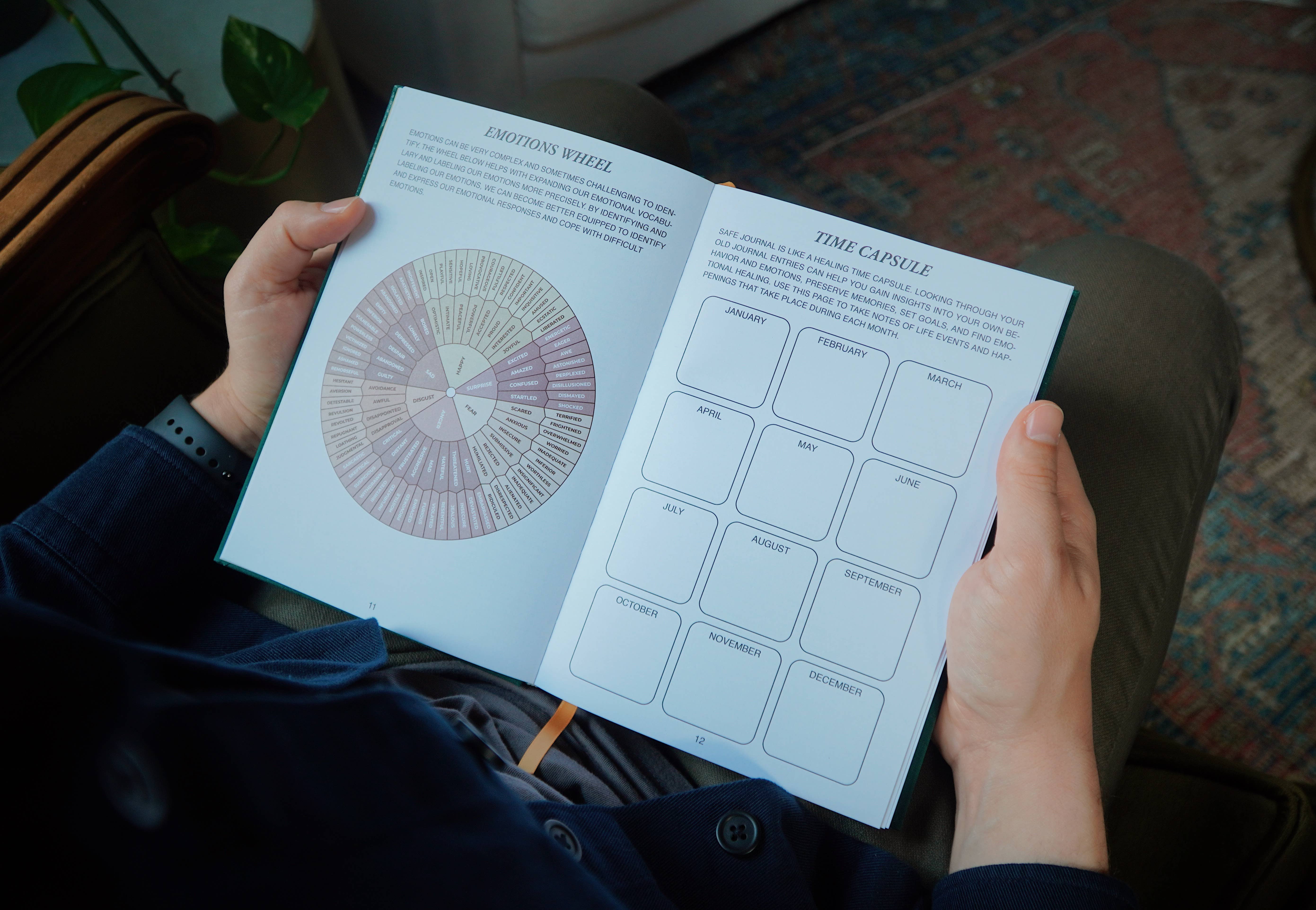 Safe Journal - Wholesale Journal/Diary - Safe Journal: Organized Diary - Therapist Recommended 4