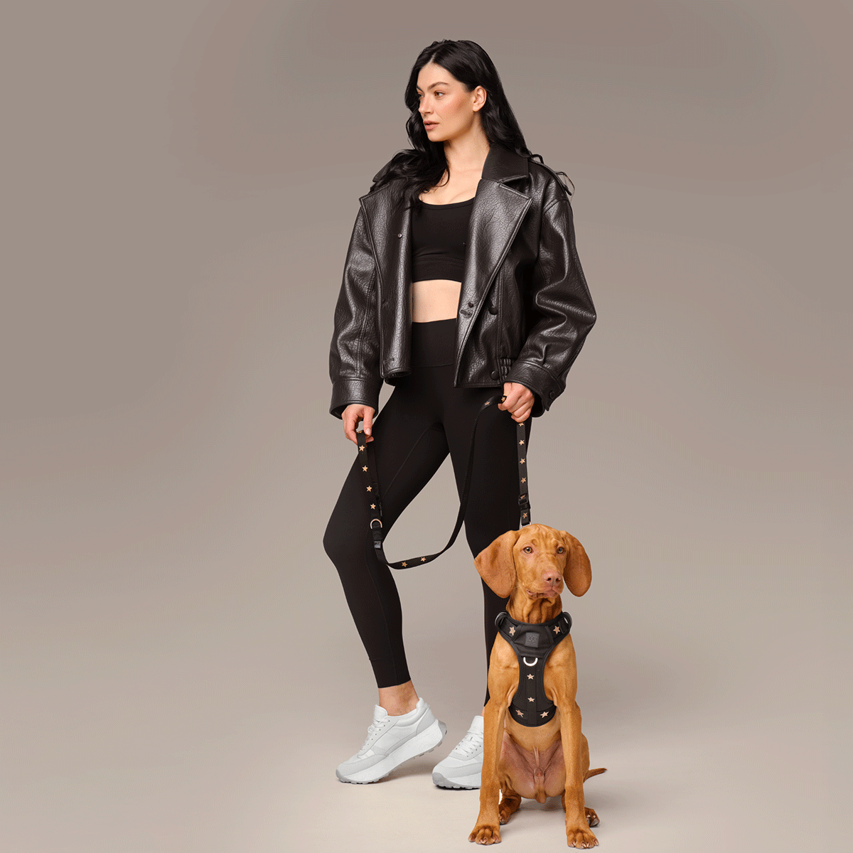DOGISTRY™ - Wholesale Pet Harness - Dog - The NoMad Adjustable Luxe Harness - Rockstar6