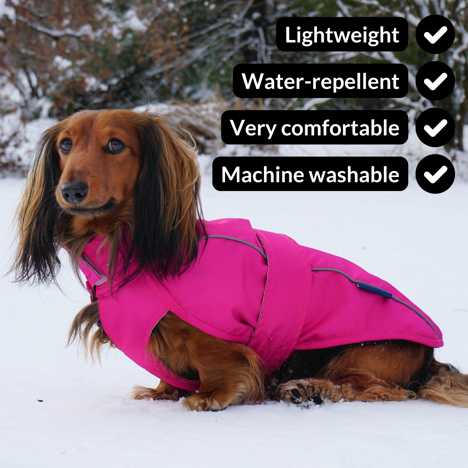 DJANGO - Wholesale Pet Raincoat - Dog - City Slicker Dog Jacket & Raincoat - Cerise Pink4
