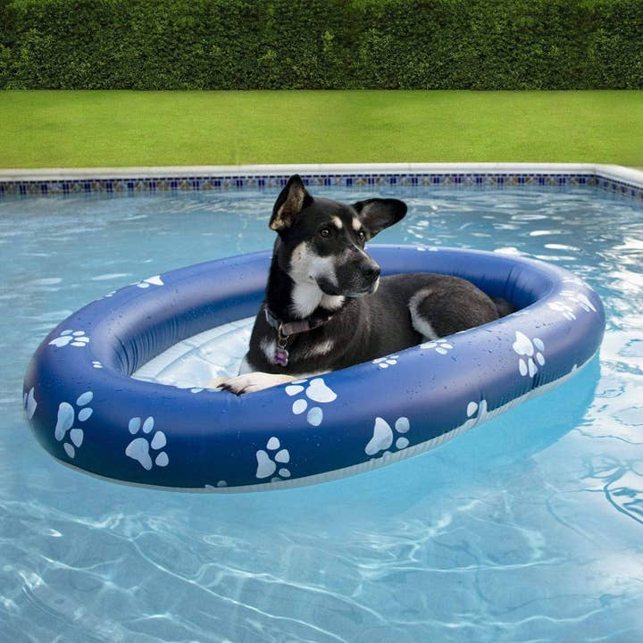 PoolCandy - Wholesale Inflatables - Inflatable Dog Pool Float Large Size