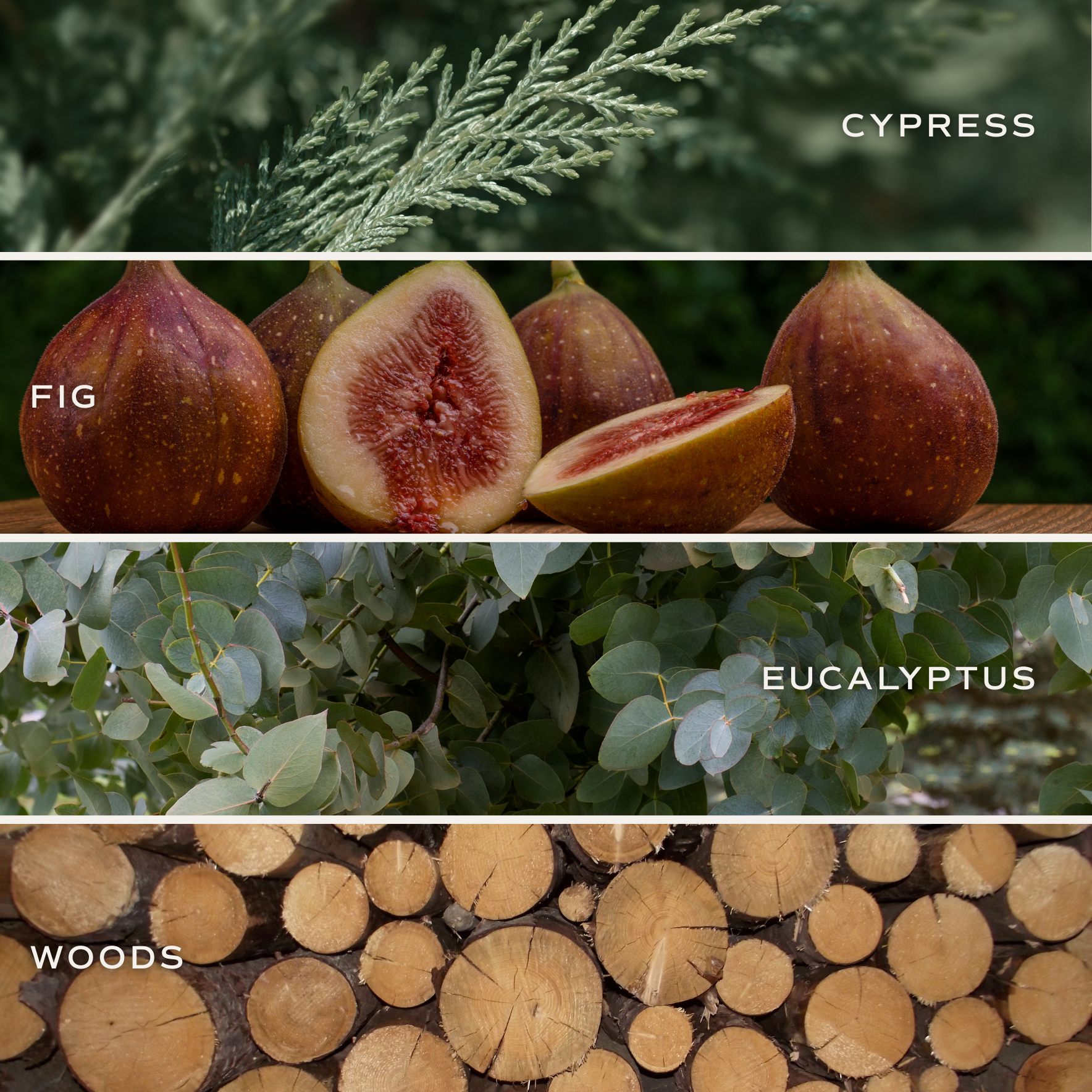 Sweet Water Decor - Wholesale Jar/Filled Candle - Let It Snow 15 oz Soy Candle, Matte Jar - Home Decor2