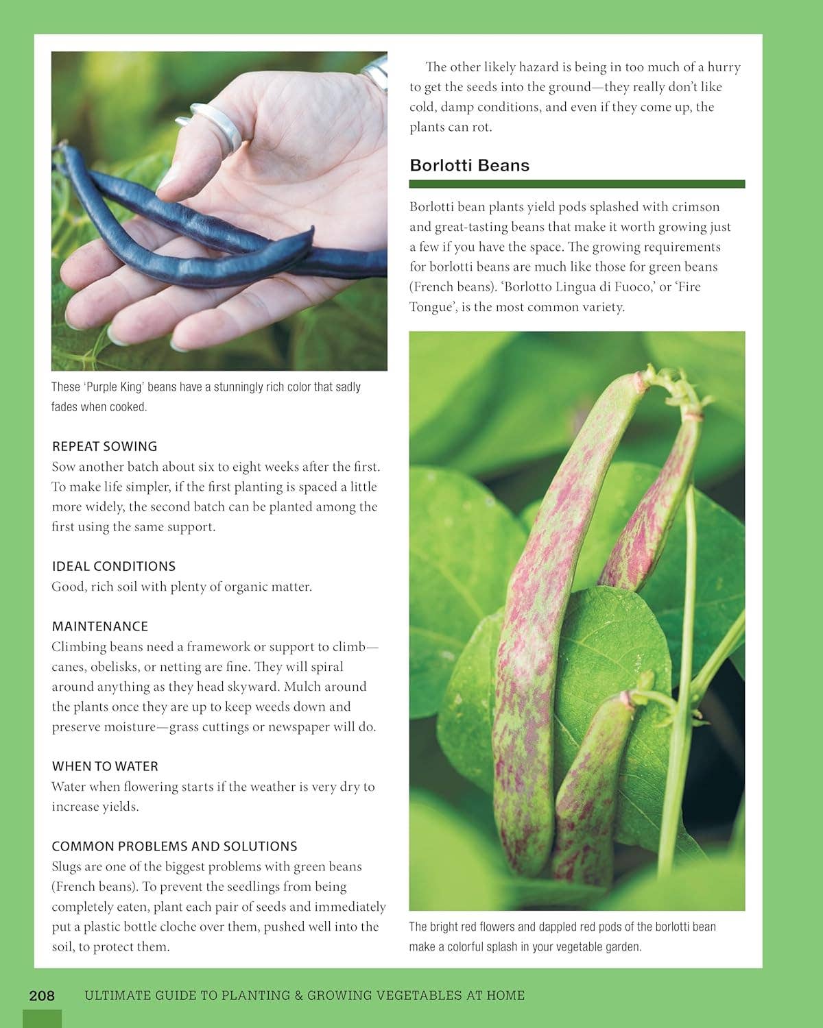 Fox Chapel Publishing - Wholesale Home & Garden - Ultimate Guide to Planting & Growing Vegetables at Home (SC)3