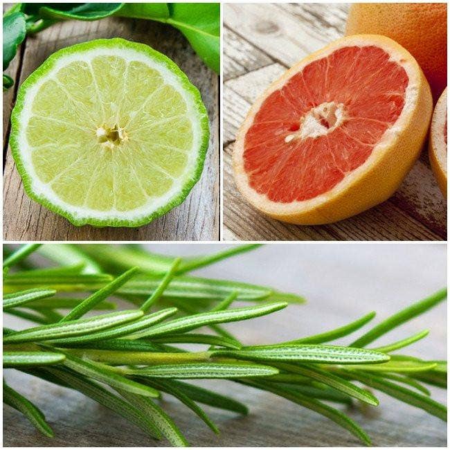 yogandha - Wholesale Essential Oil Roll-On - 'Salute' Essential Oil Self-Care Roll-on Blend3