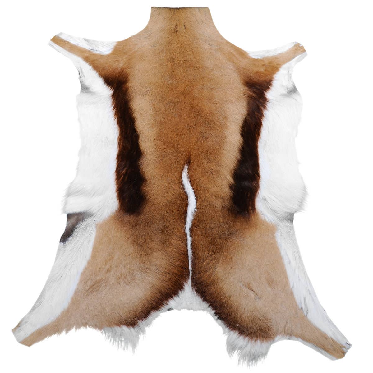 Van Buren - Wholesale Area Rug - Springbok1