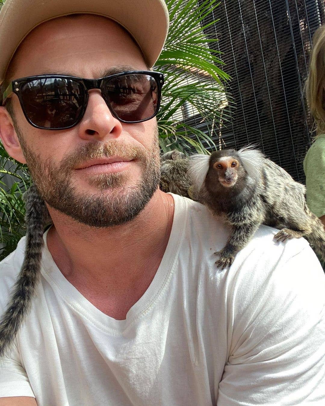 BIRD & HILL. - Wholesale Sunglasses - Unisex - Eyewear Start-Up Package with Display15