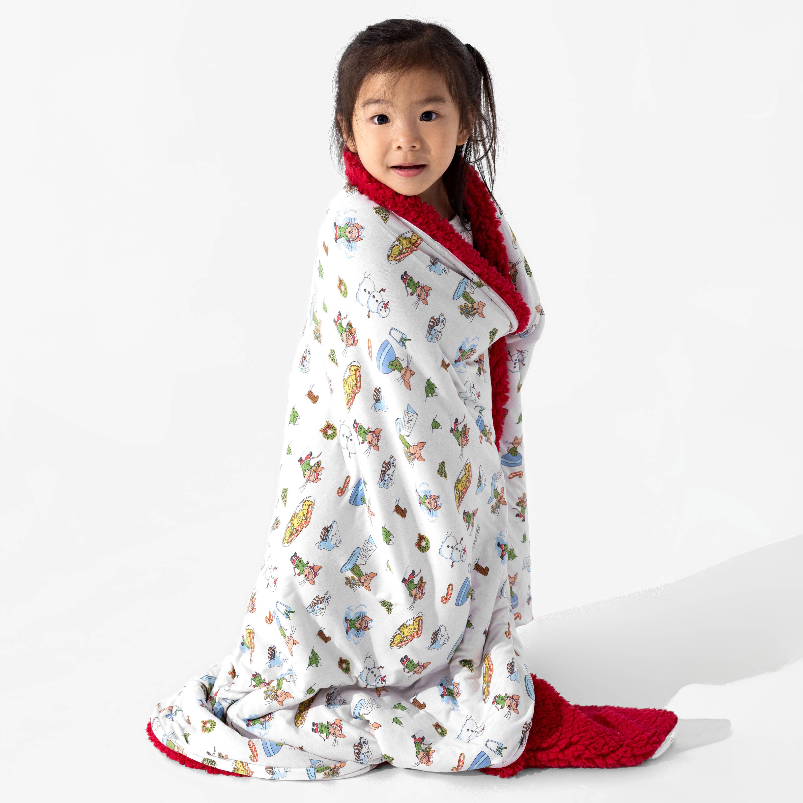 Bellabu Bear - Wholesale Bedding Blanket - Kids & Baby - If You Give A Mouse A Cookie Christmas Bamboo Blanket5