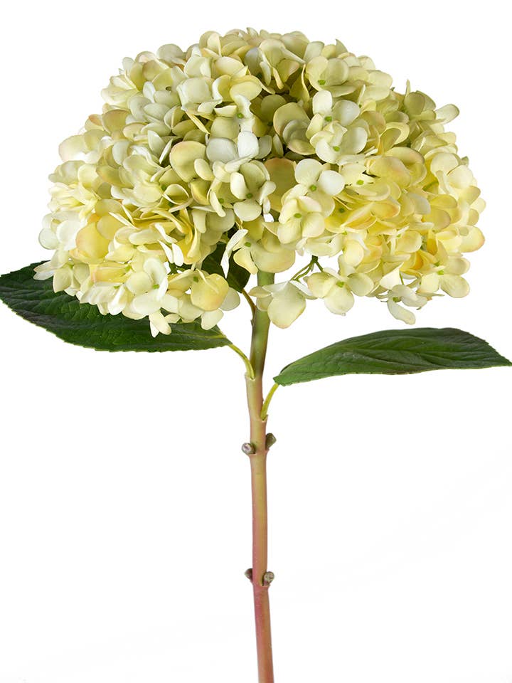 American Best - Wholesale Artificial Flowers - 28" COLOSSAL MOPHEAD HYDRANGEA1