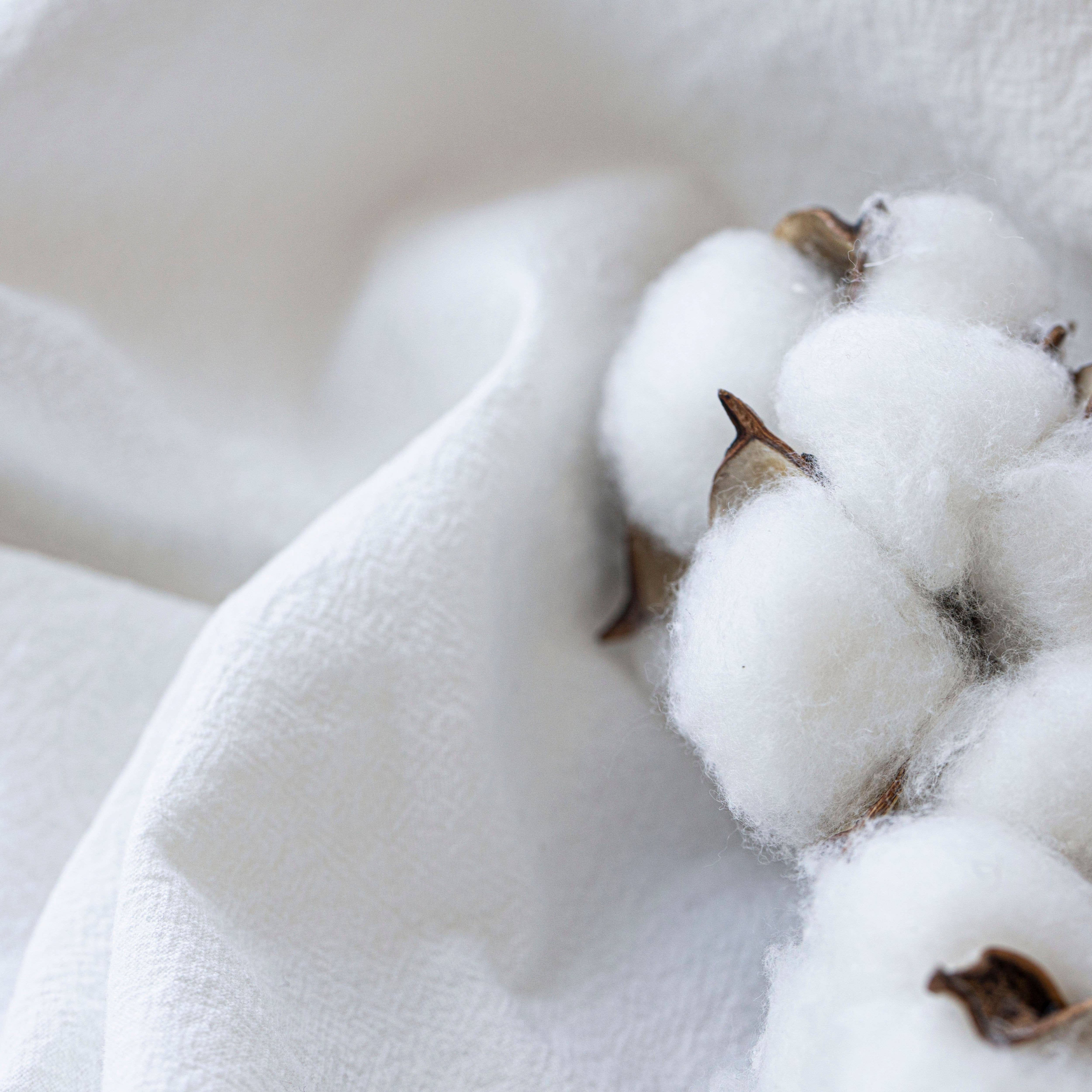 PILLOWPIA - Wholesale Pillow Insert - plush recycled poly down alternative pillow insert5