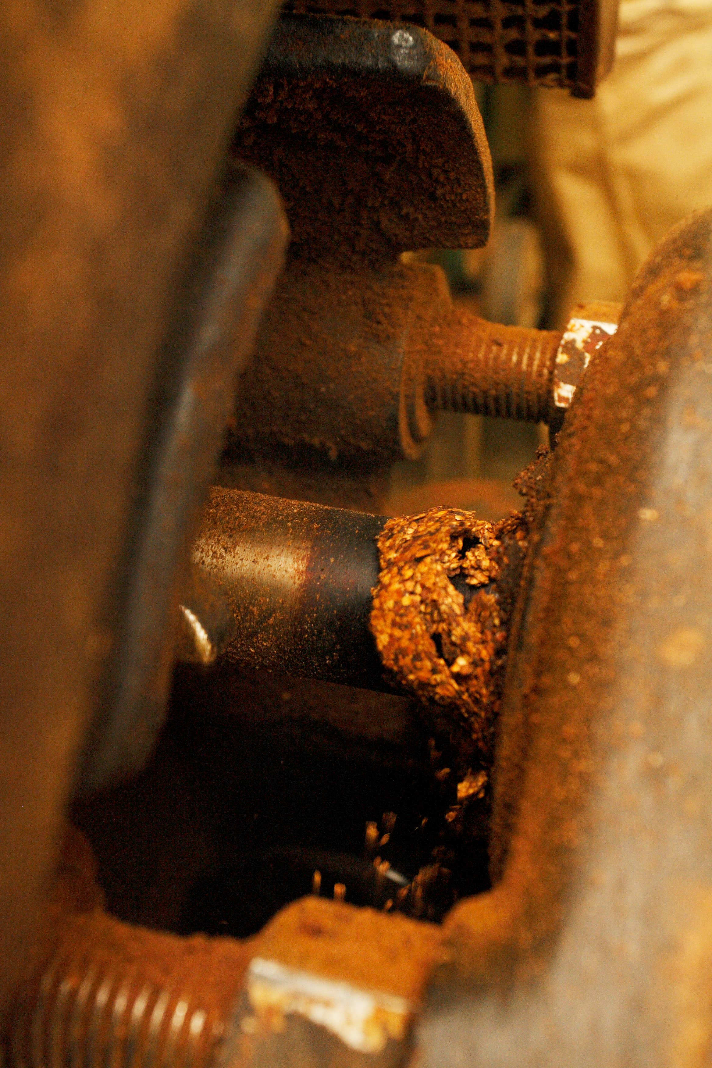 Japan Artisans - Wholesale Cooking Oil - Henko–Roasted White Sesame Oil 140g | Kyoto, Japan8