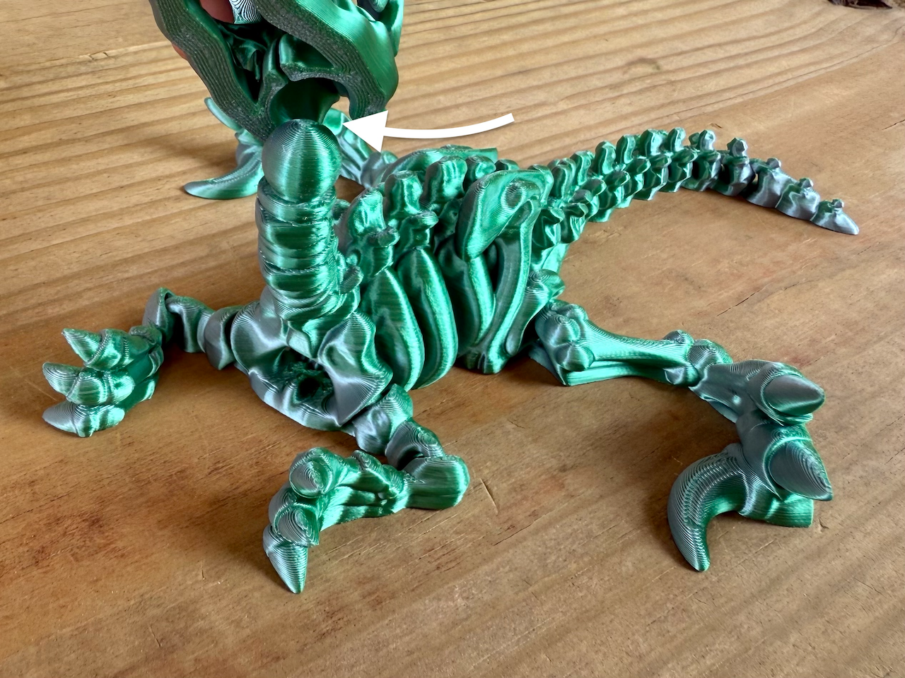 LNZ Custom Design - Vendita all'ingrosso Giocattolo fidget - Bambini - Scheletro di Velociraptor 3D Flexi - Dinosauro Sensoriale Raptor9