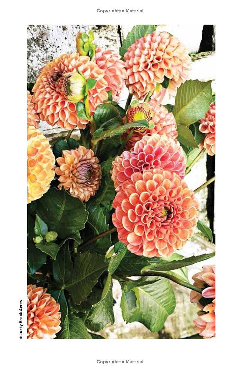 REMOVED BRAND - Wholesale Travel - Wisconsin Farms & Farmers Markets:Tours Trails & Attractions3