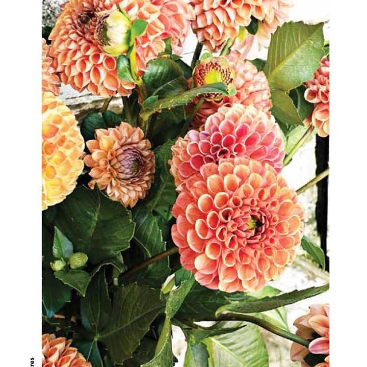 REMOVED BRAND - Wholesale Travel - Wisconsin Farms & Farmers Markets:Tours Trails & Attractions3