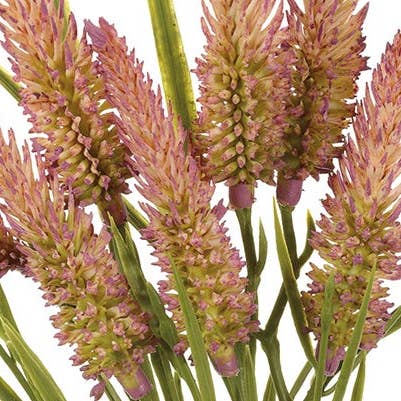 Will's Company - Wholesale Artificial Flowers - Artificial Narrow Leaved Clover Flower Bundle - 2 colors3