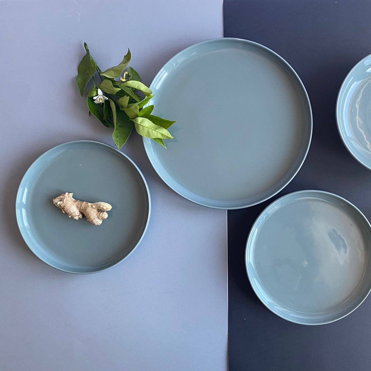 TERREA HOME – Prato por atacado – Prato de jantar Elements verde oliva2