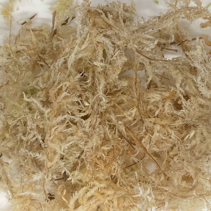 Grow-Win - Wholesale Planting/Potting Soil - Orchid substrate 4L, special phalaenopsis potting soil2