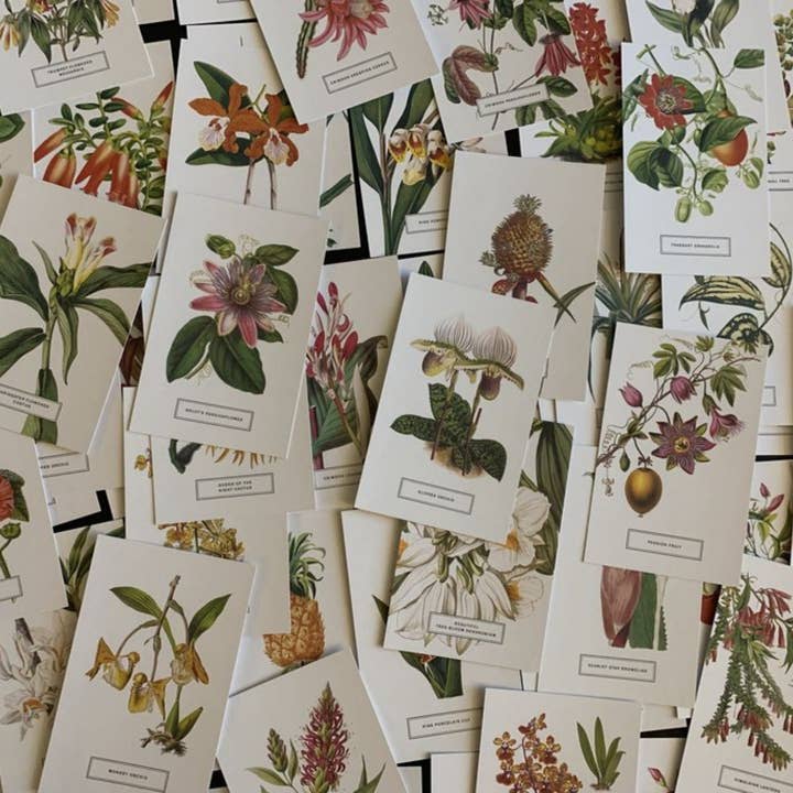 Magnifique Hearts - Wholesale Postcard Set - Vintage Style Botanical Postcards Prints | Lucky Dip Set Of