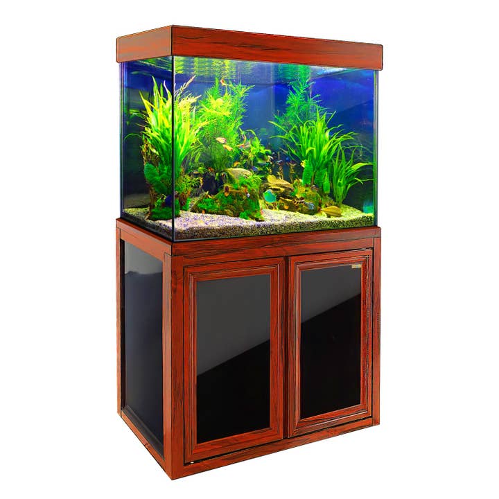 Aqua Dream 100 Gallon Akvarium i Hærdet Glas i Rødtræ for engroshandel hos AQUA DREAM