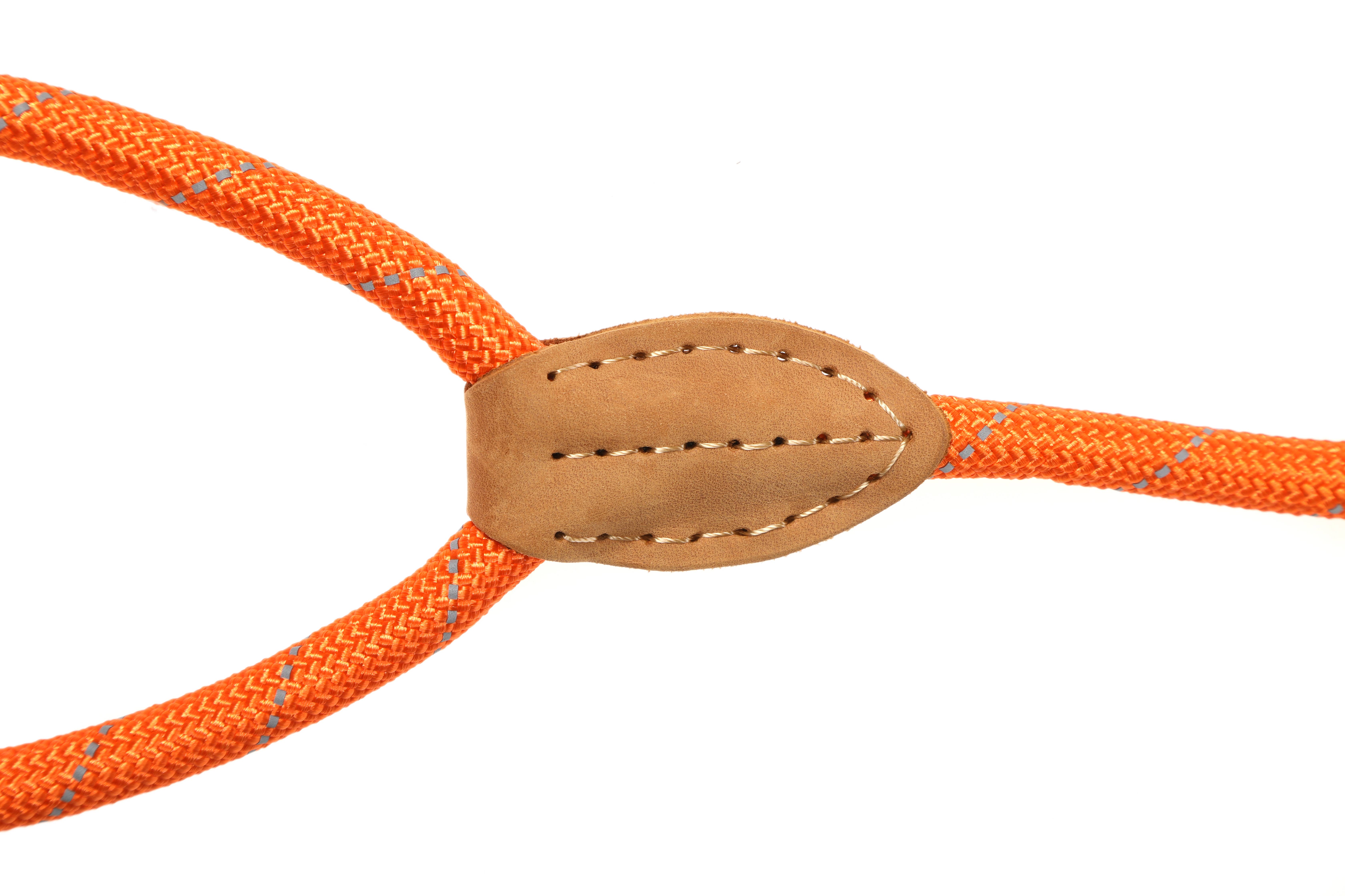 Doodlebone - Vente Laisse – chien - Laisse coulissante pour chien avec arrêt de sécurité7