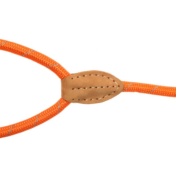 Doodlebone – Großhandel Leine – Hund – Hundeleine7