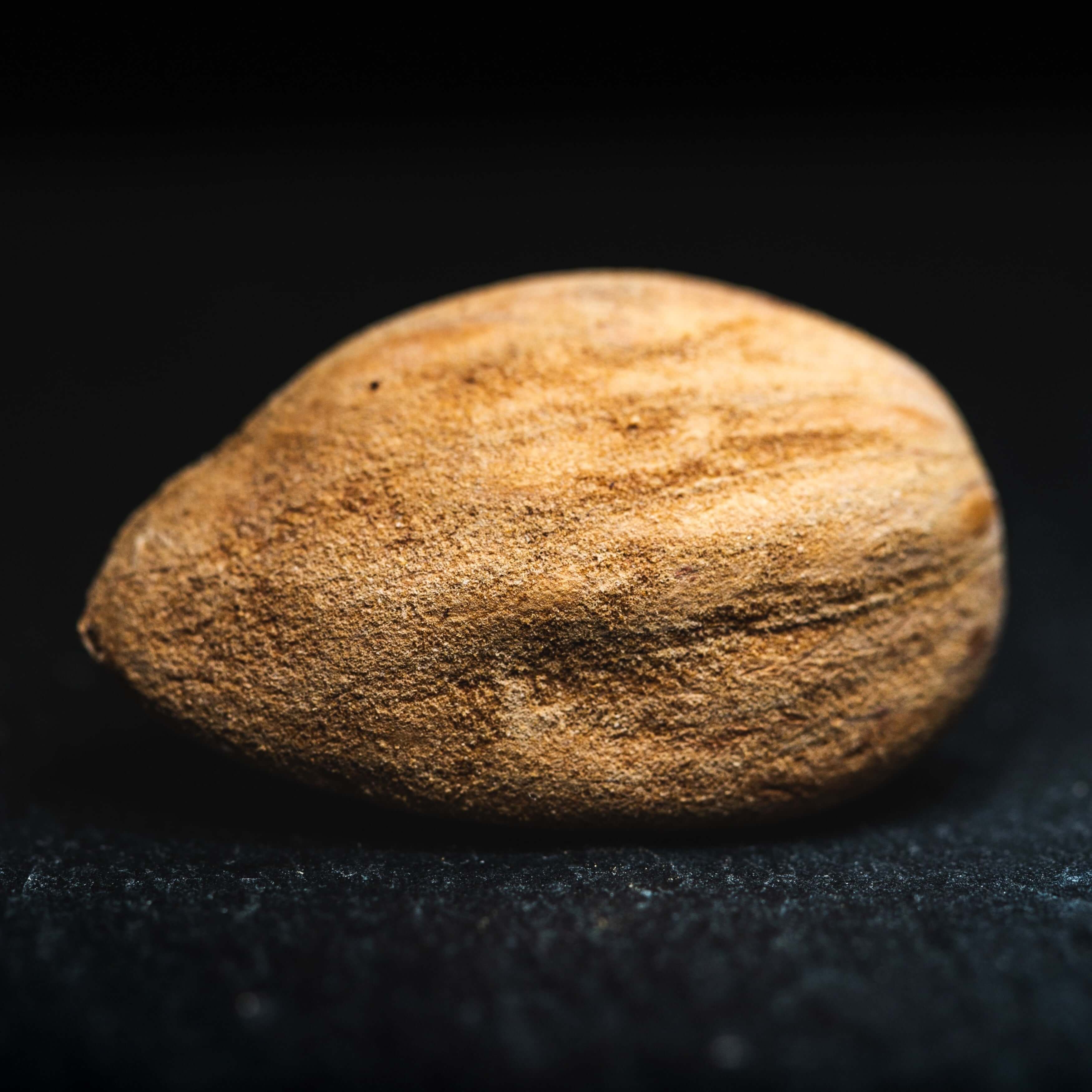 2DiE4 Live Foods - Wholesale Nuts - Aktivierte Bio Mandeln1