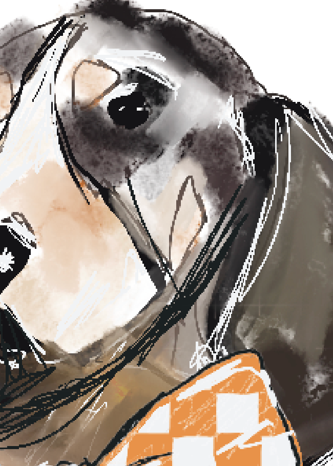 Hey Y'all Party - Wholesale Flat Wrap -  Hound Dog Orange and White Tie Reversible Gift Wrap Sheets4