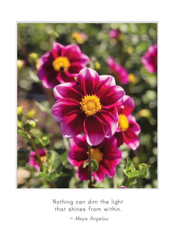 B746 - Shine for wholesale by Stonehenge Designs