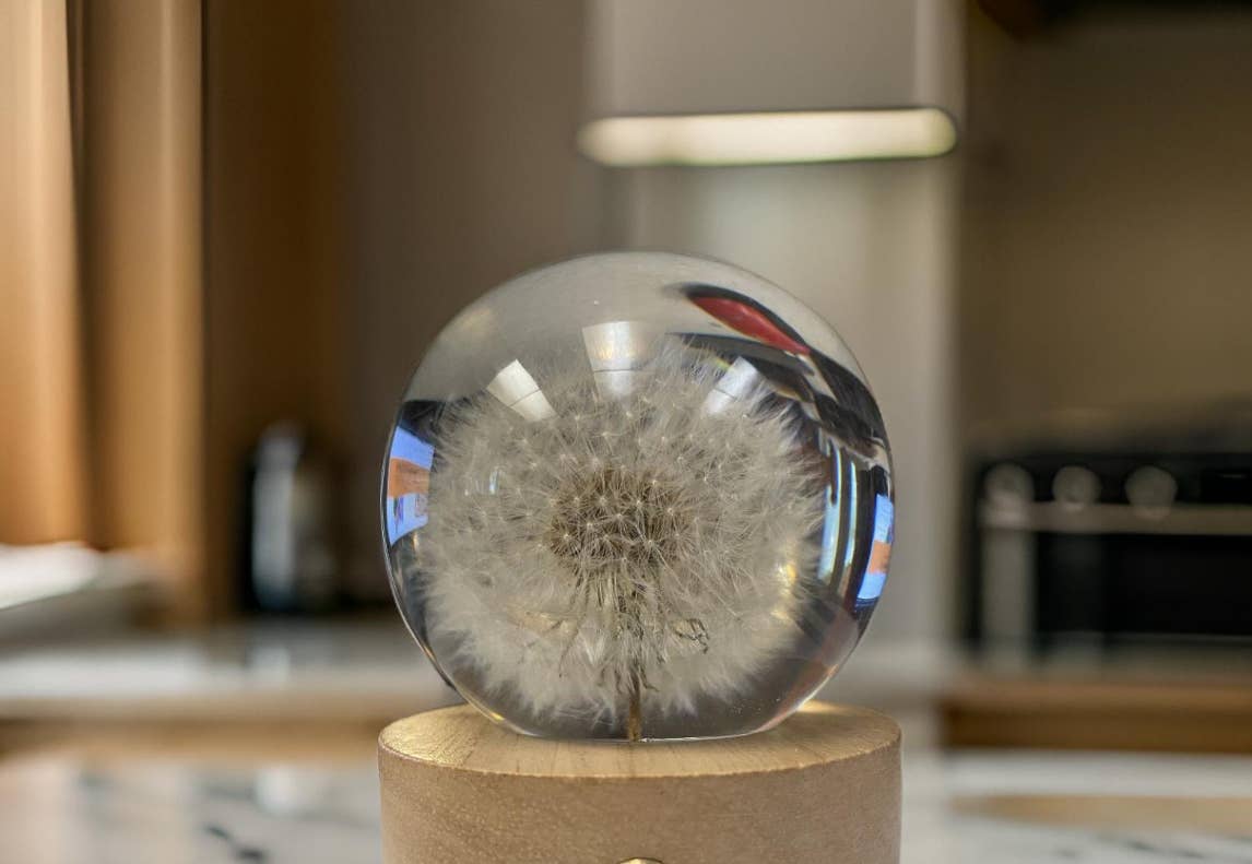 Lake Brothers – wholesale Nattlampa – Maskros Wish Nattljus