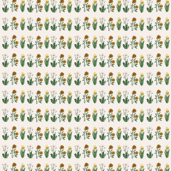 Field Artist Series Wrapping Paper Roll for wholesale by Fuzzy Whale Paper Co