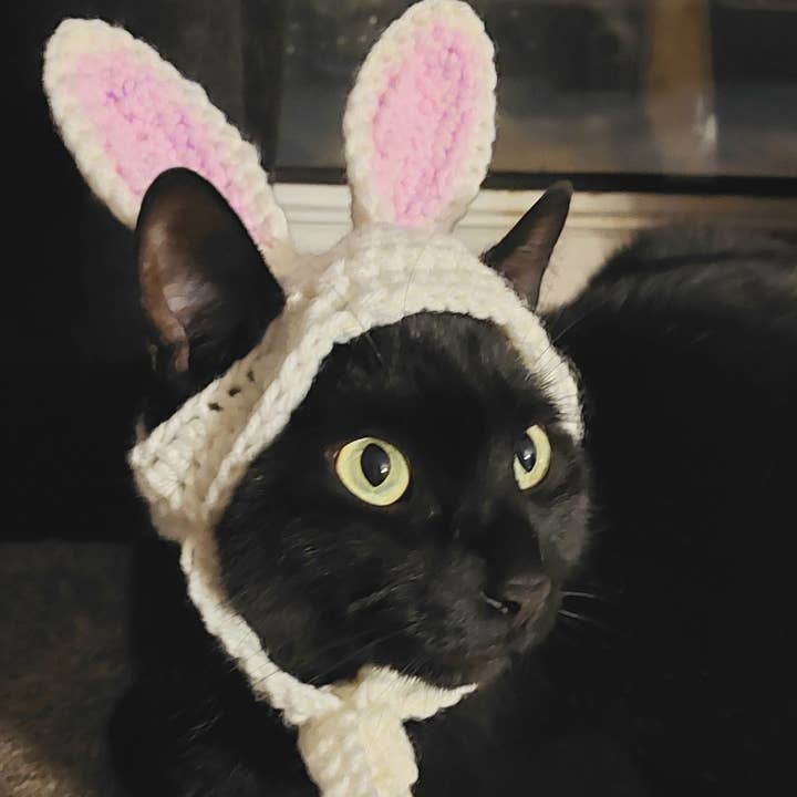 Glitter Ghost Clothing and Accessories - Vente Chapeau – chien - Chapeau de lapin de Pâques en crochet - Bonnet pour chat - Chapeau pour animal de compagnie