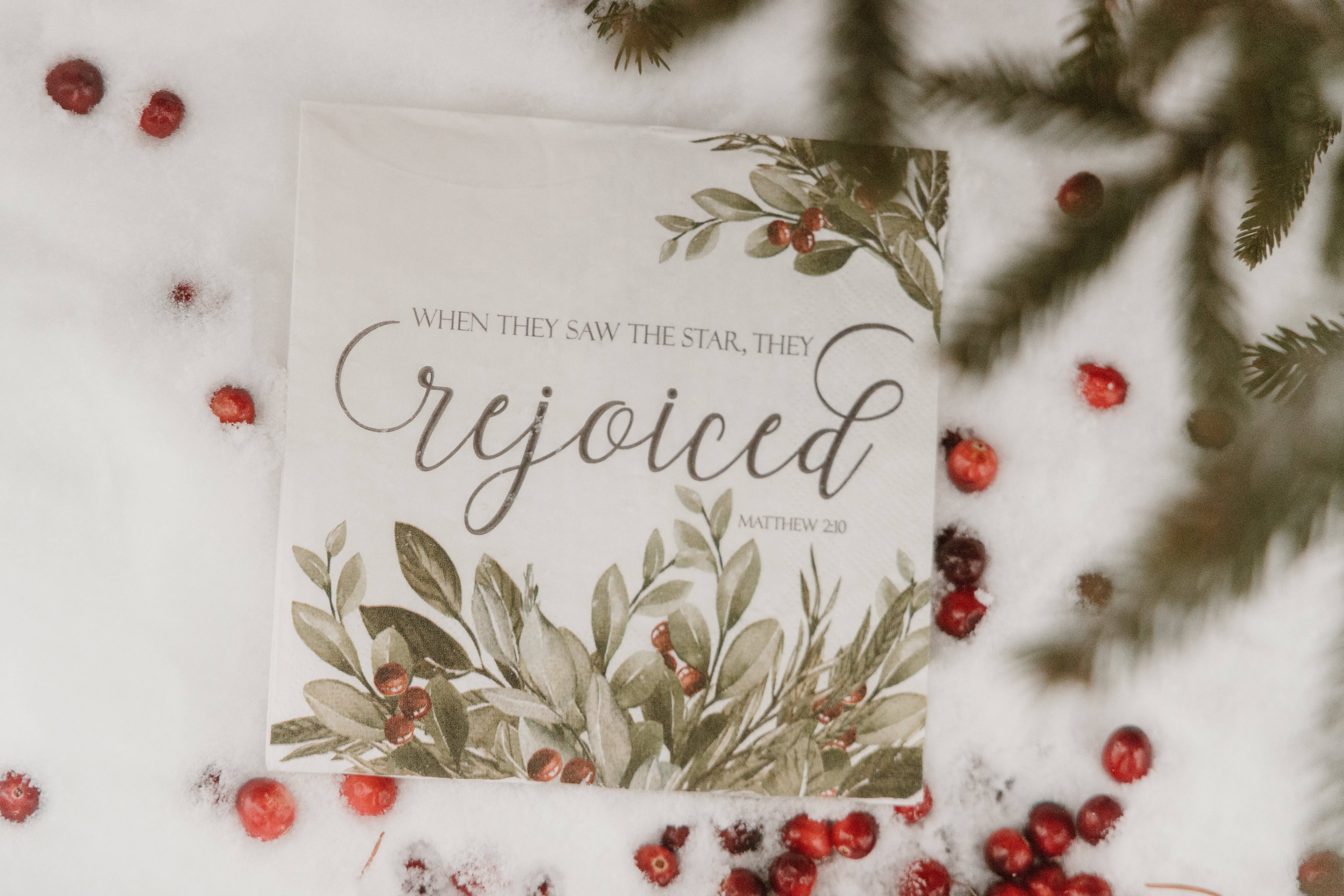 Pearls of Parchment - Wholesale Disposable Napkin - Winter Green Christmas Paper Napkins | 20 ct Scripture Nap