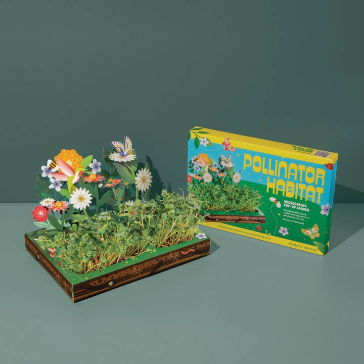 Modern Sprout - Wholesale DIY Craft Kit - Microgreens DIY Kit13