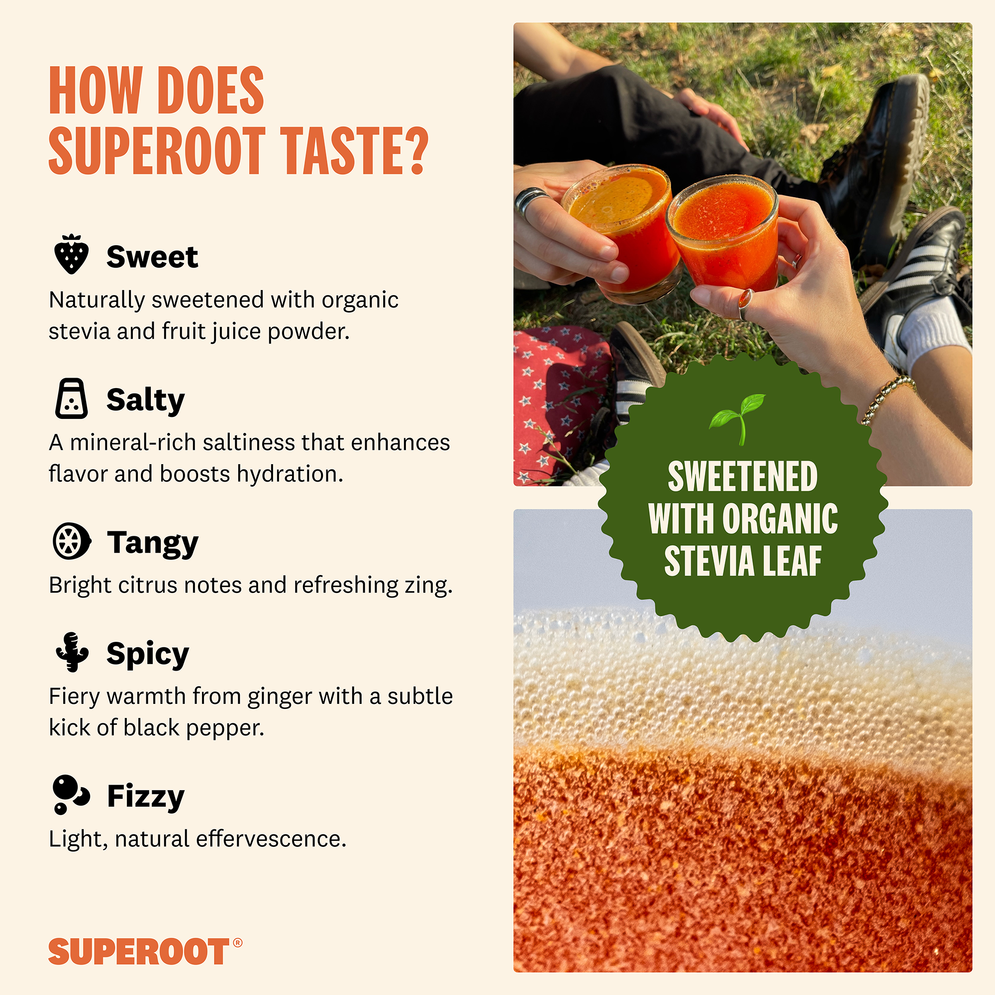 Superoot - Wholesale Powdered Health Drink - Immunity & Hydration Superfood Mix - Orange Lemon | 30 serv.3