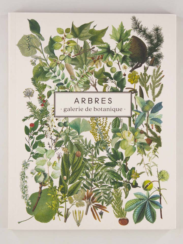 "Trees" Notebook for wholesale by Les Jolies Planches