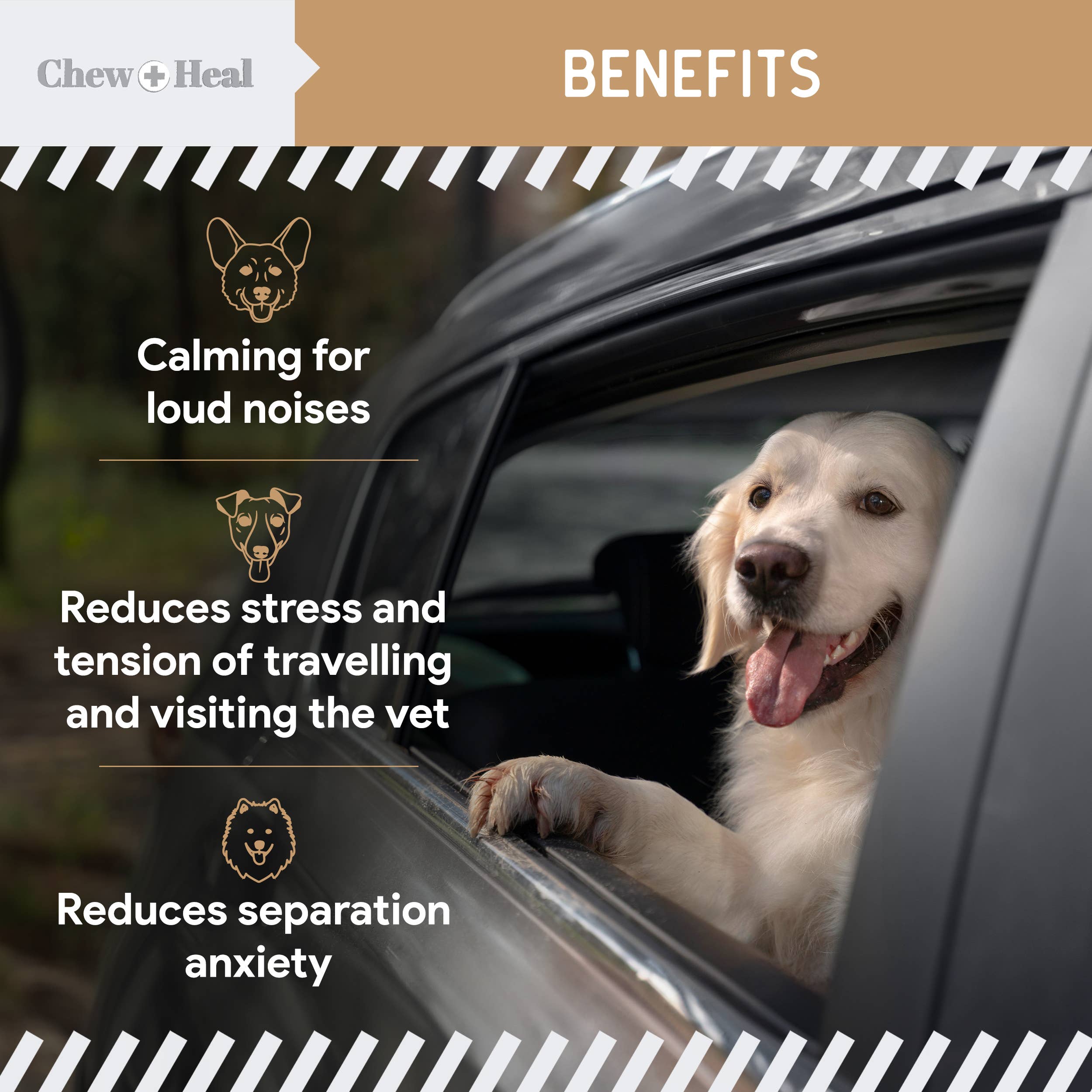 Chew + Heal – Großhandel Nahrungsergänzungsmittel für Haustiere – Hund – Anxiety + Stress Dog Erdnussbutter mit Geschmack, 60 Stück7