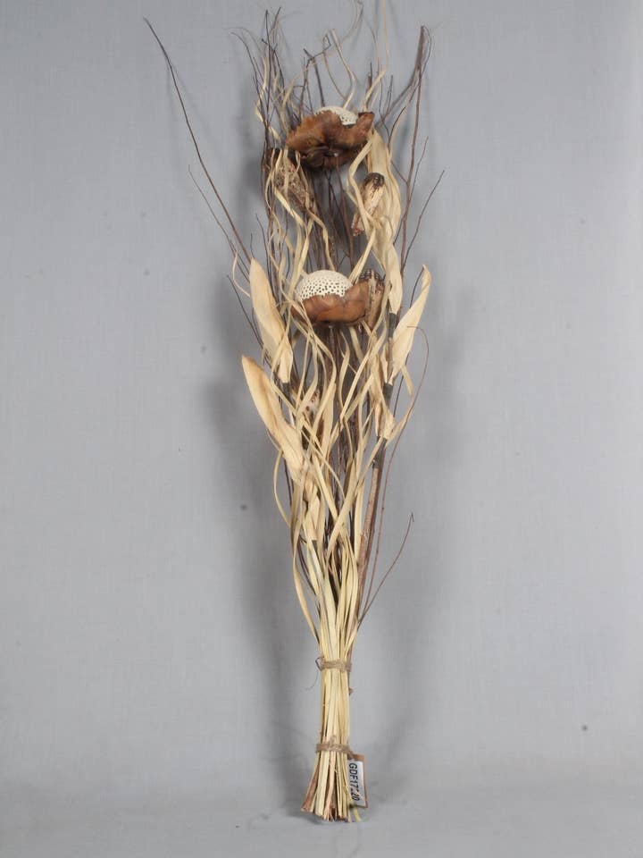 Hojas secas con vainas de 42", 320g para venta al por mayor de Tremont Floral Supplies