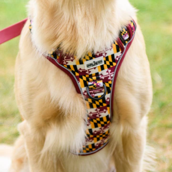 Maryland Flag No Pull Harness for wholesale by Maryland Dog Company