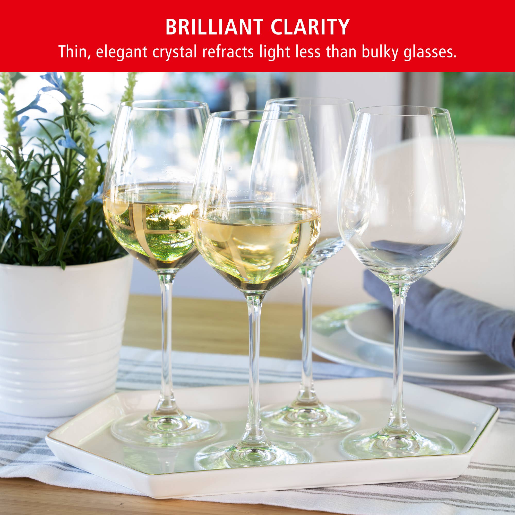 Spiegelau - Wholesale Wine Glass - Salute High Stemmed Crystal White Wine Glasses Set of 45