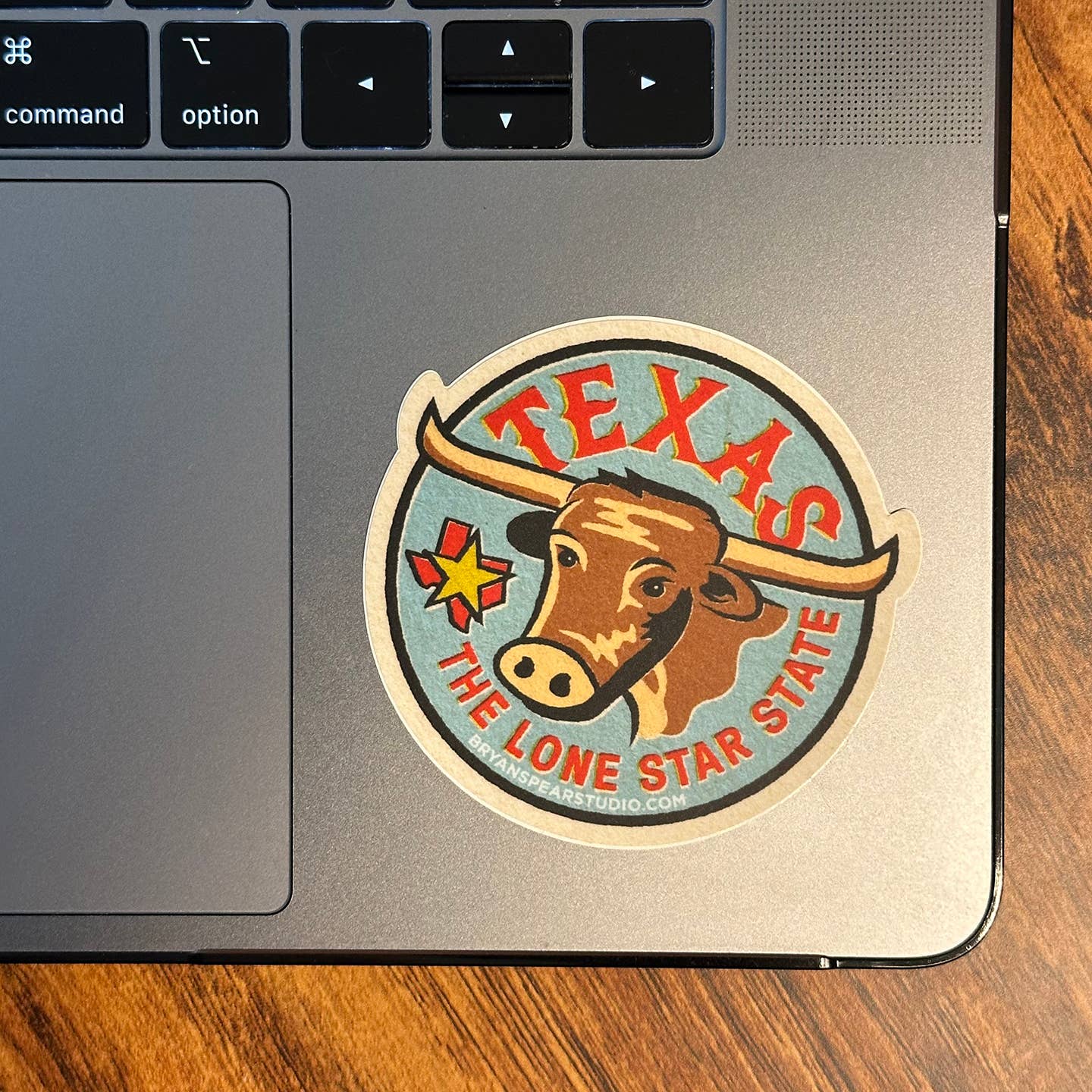 Bryan Spear Studio - Wholesale Sticker - Texas Lone Star State Sticker2