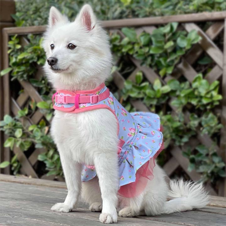 Blueberry Pet - Wholesale Pet Dress - Dog - 👗 6 Colors, 🌸Made Well Floral Dog Dress Harness