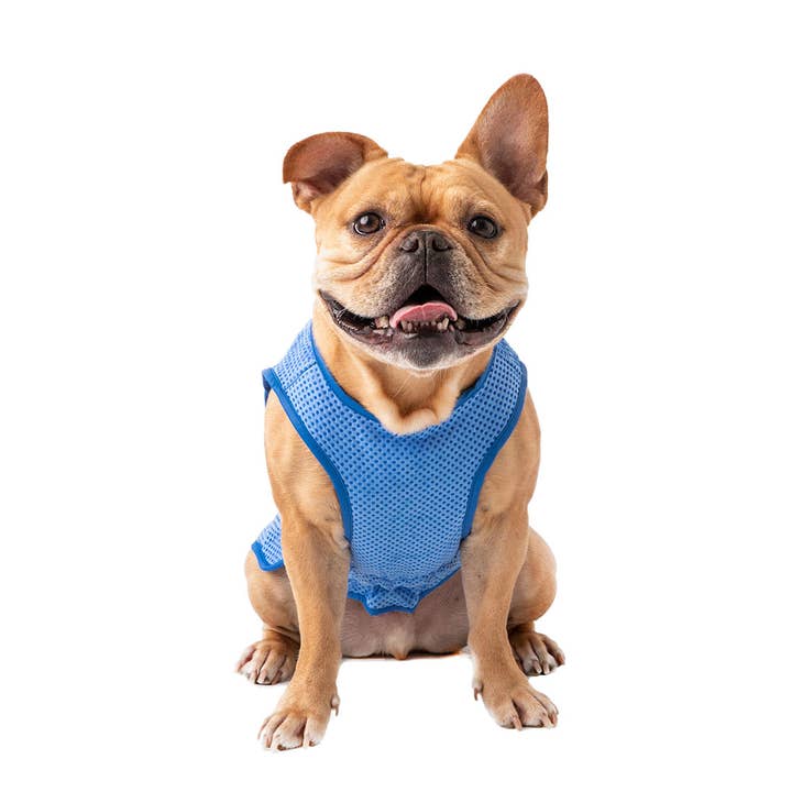 GF Pet - Wholesale Pet Vest - Dog - GF Pet Elasto-Fit Ice Vest: Blue