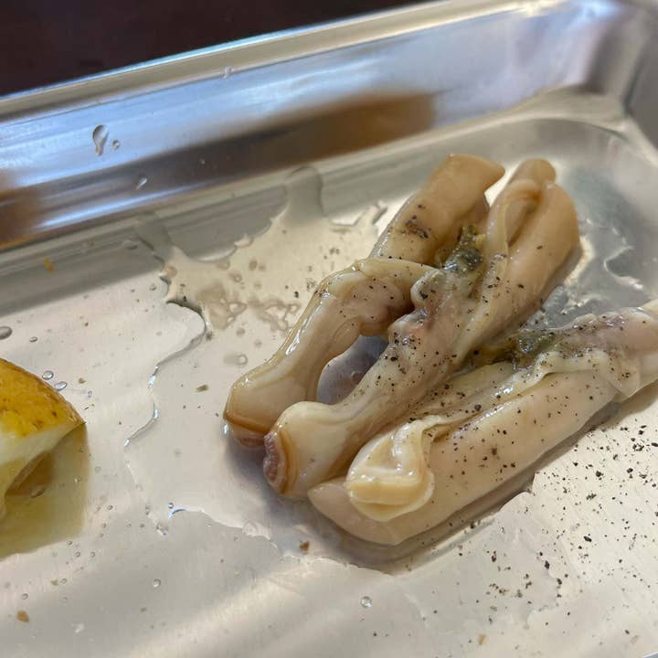 Lata - Wholesale Vis/zeevruchten - Samare Razor Clams uit Galicië in Brine4