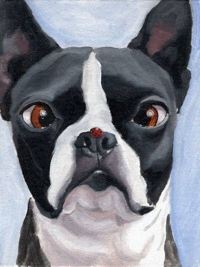 Boston Terrier en het lieveheersbeestje, kunstdruk voor honden voor wholesale door Brian Rubenacker studios
