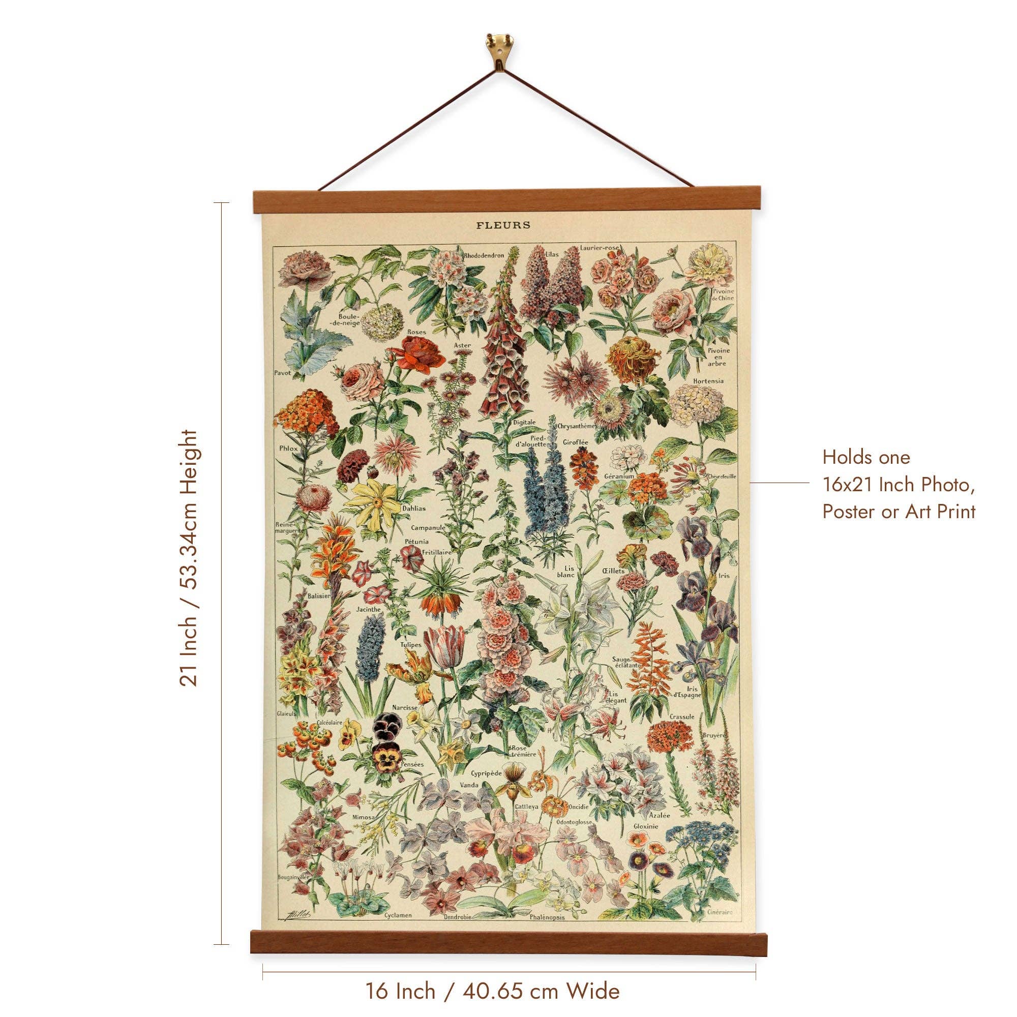 Vintage Banners – Großhandel Kunstdruck – Wissenschaftlicher Leinwanddruck Fleurs Set C von Adolphe Millot1