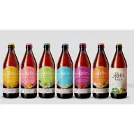 Kéfir Eau Vertueuse - Wholesale Kombucha - Kefir Virtuous Water Orange/English Breakfast - BIO-VIVANT2