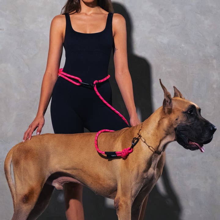 Neon Pink Running Hands-Free Dog Leash for wholesale by Runners Essentials by Without Limits
