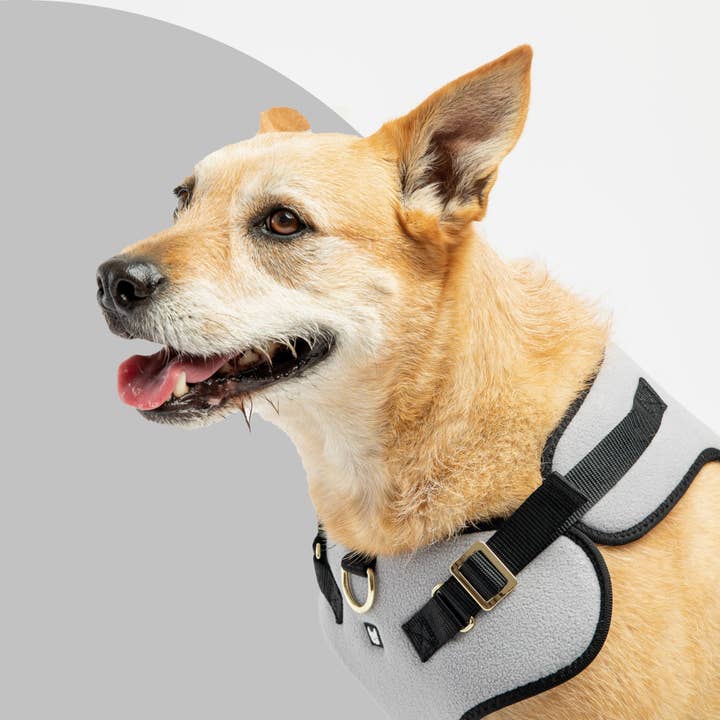 Silver Paw - Wholesale Pet Harness - Dog - Aquafleece Dog Harness - Grey