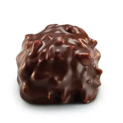 Chocolatier de Paris – Engroshandel Chokoladebar – Rochers praliner3