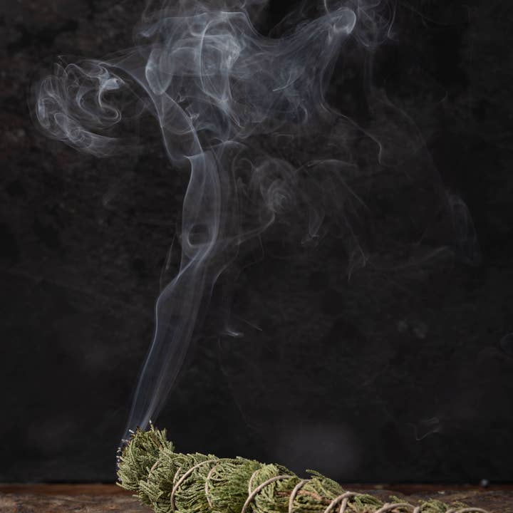 Pine Barrens Post - Wholesale Incense - Dried Forest Incense1