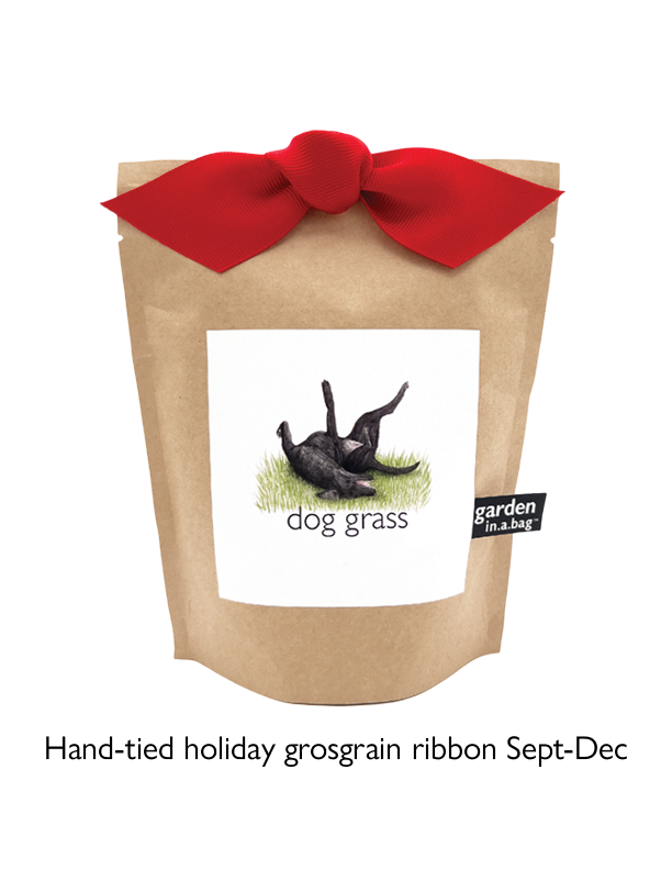 Potting Shed Creations, Ltd. - Wholesale Pet Treats - Dog - Garden in a Bag | Dog Grass | Spring Pet Treat Gift7